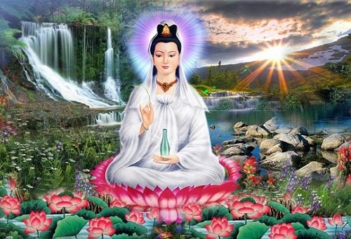 Tìm Hiểu Quang Âm